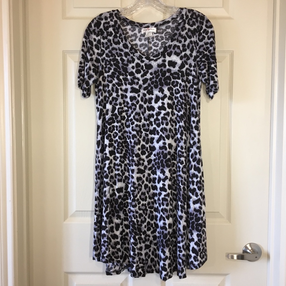 The Zig Zag Stripe | Snow Leopard Shirt Dress